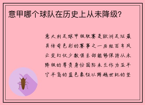 意甲哪个球队在历史上从未降级？